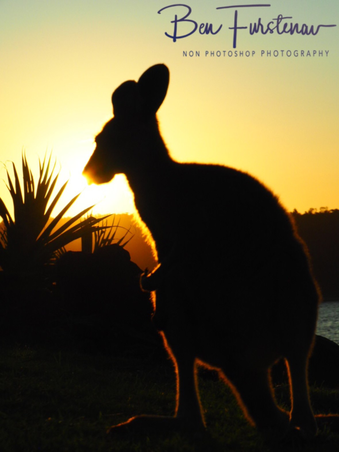 One last scratch @ Woody Head, Northern New South Wales, Australia