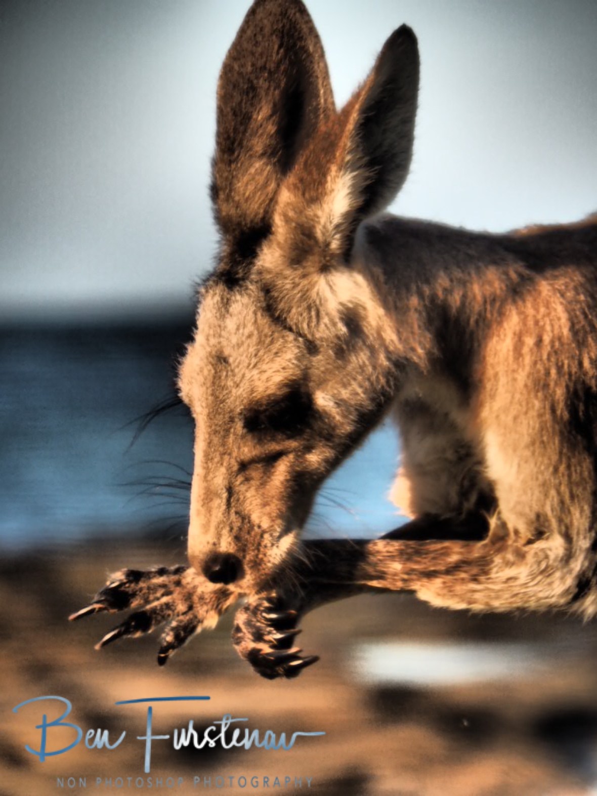 Two in one @ Woody Head, Northern New South Wales, Australia