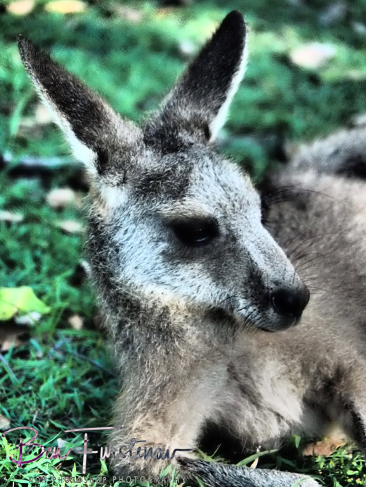 Model look @ Woody Head, Northern New South Wales, Australia