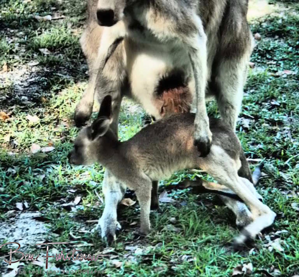 What happened? @ Woody Head, Northern New South Wales, Australia