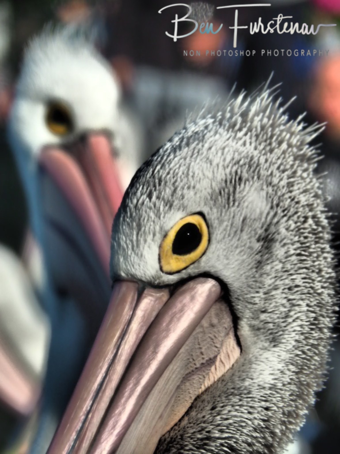 Perfect light conditions @ The Entrance, Central Coast, New South Wales, Australia