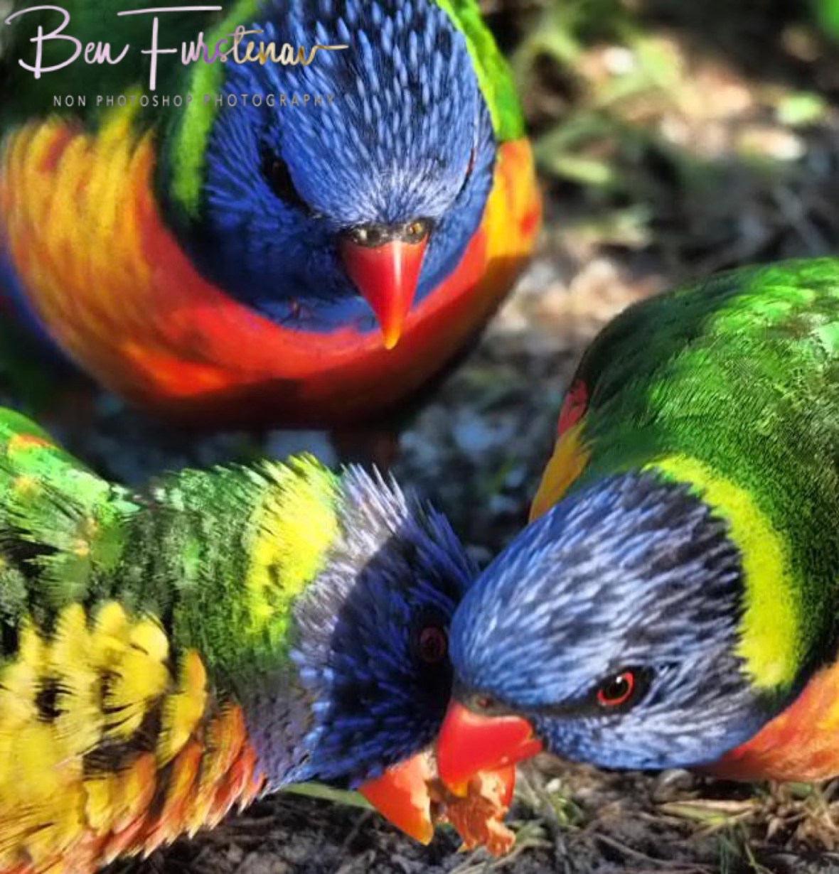 Caring and sharing @ Hat Head, Northern New South Wales, Australia