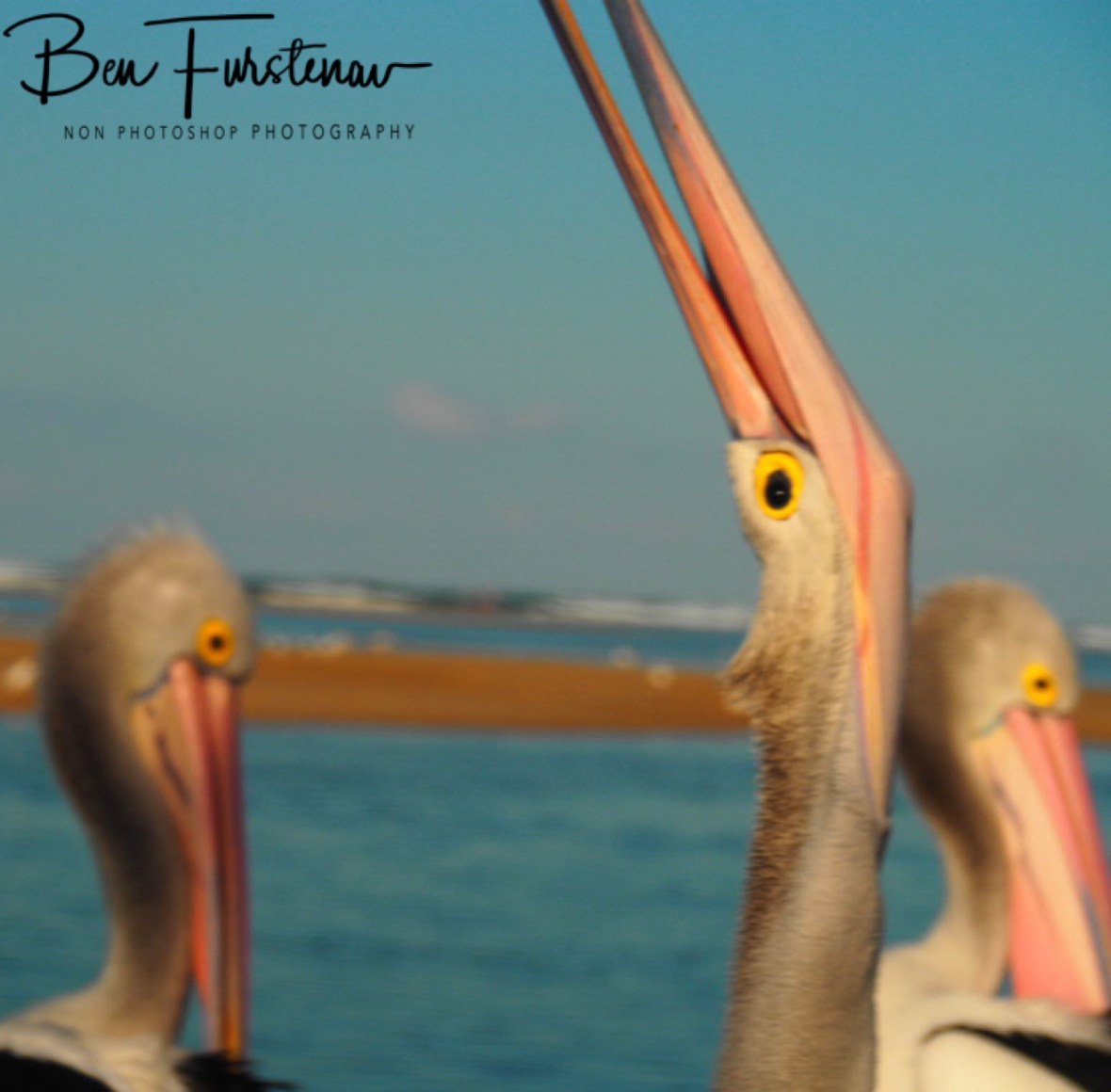 Strange beacons @ The Entrance, Central Coast, New South Wales, Australia