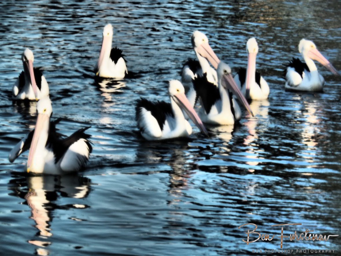 A piece of the fish cake @ The Entrance, Central Coast, New South Wales, Australia