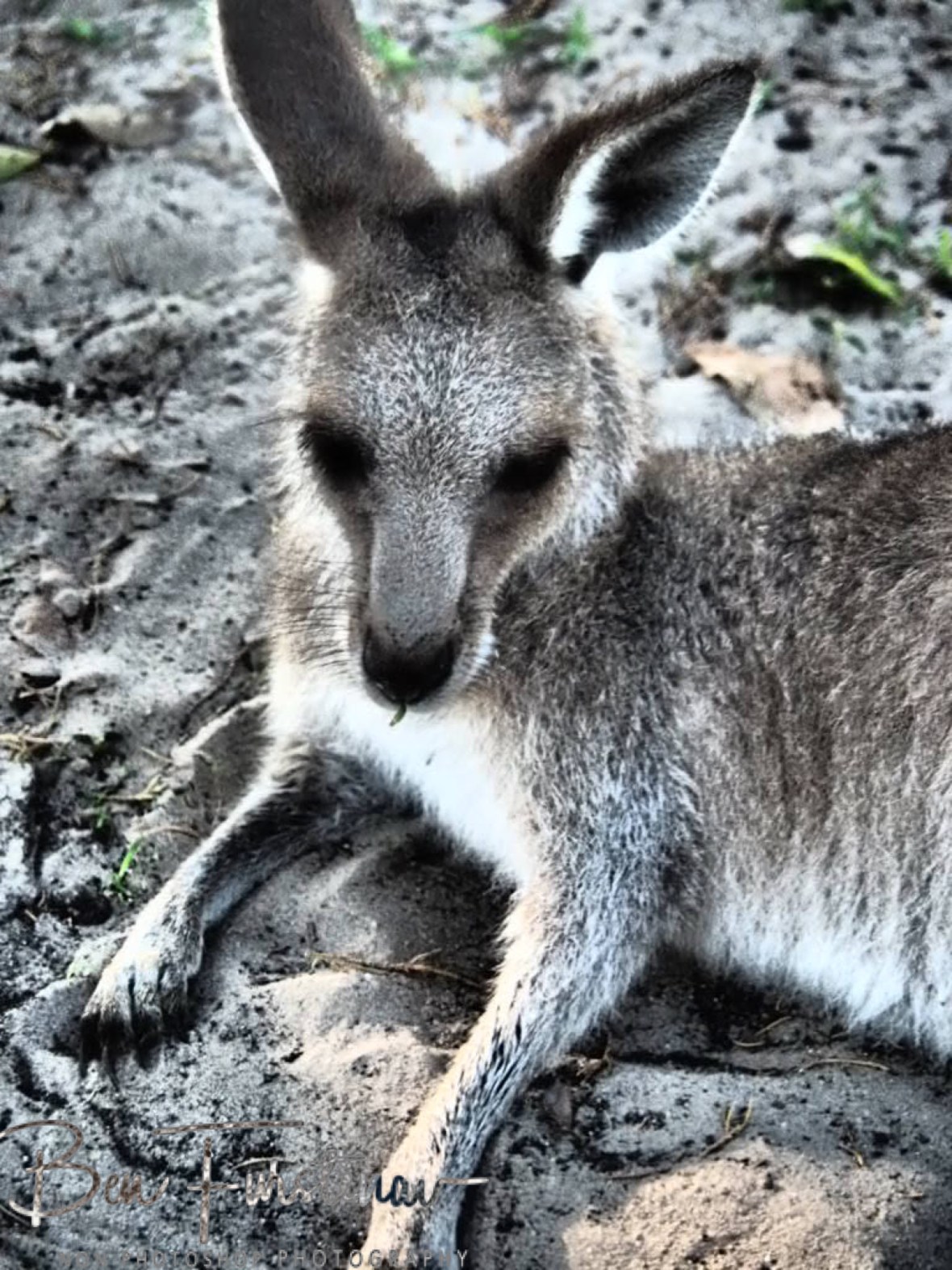 Cooling sands @ Woody Head, Northern New South Wales, Australia