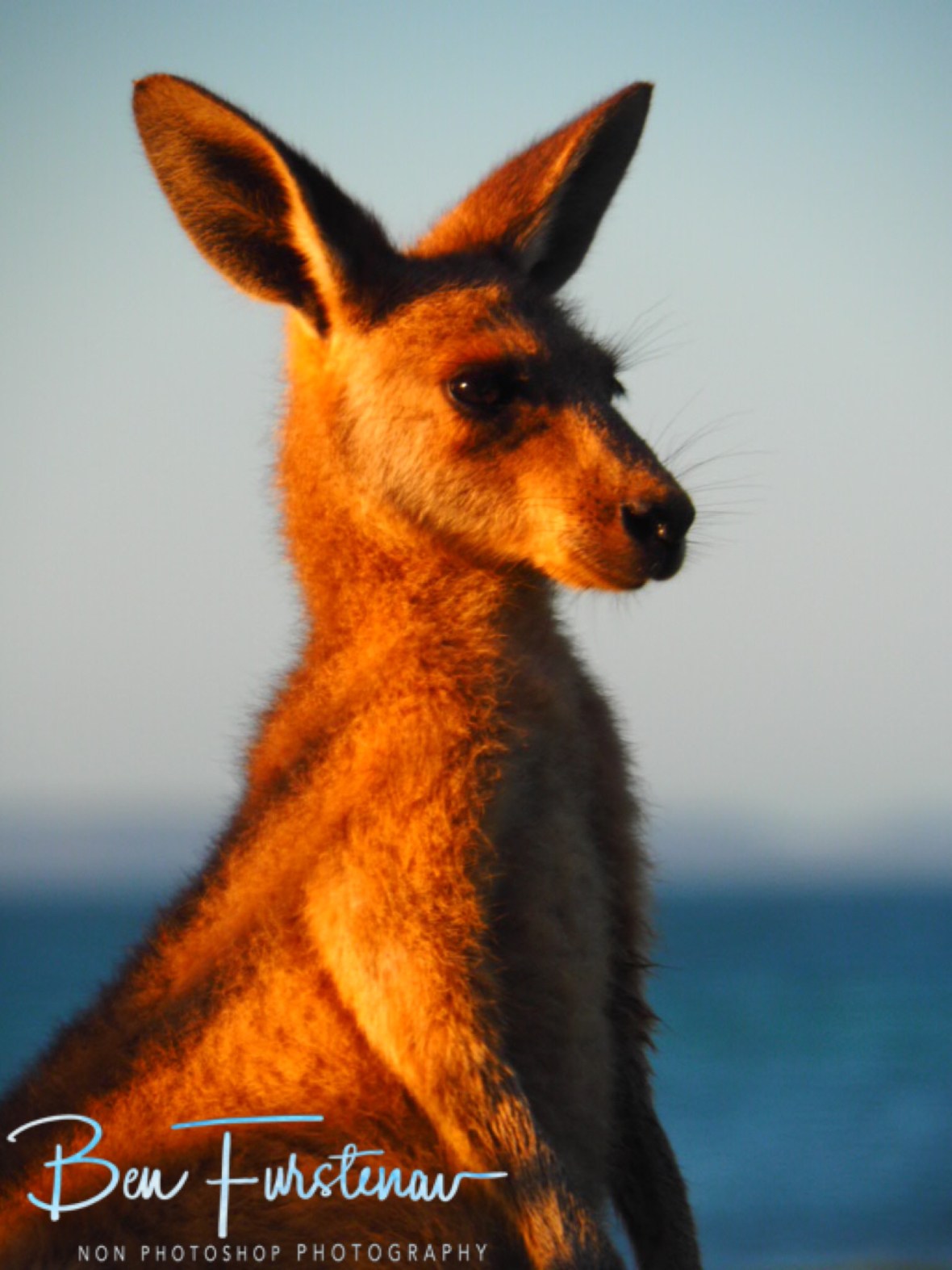 Stereo sound @ Woody Head, Northern New South Wales, Australia