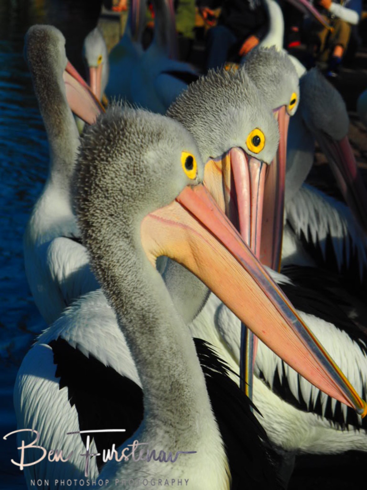 Roger That! @ The Entrance, Central Coast, New South Wales, Australia