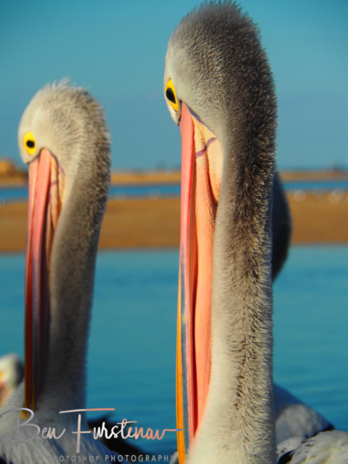 Eyeliners @ The Entrance, Central Coast, New South Wales, Australia