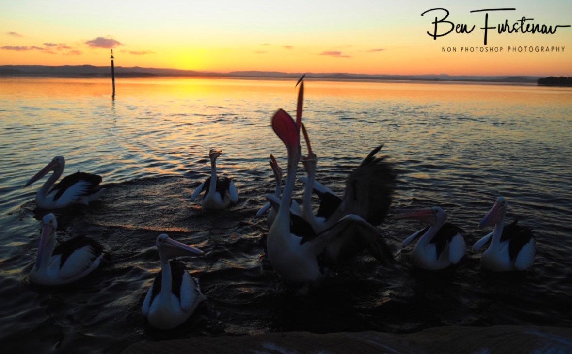 Imaginary scenario @ The Entrance, Central Coast, New South Wales, Australia
