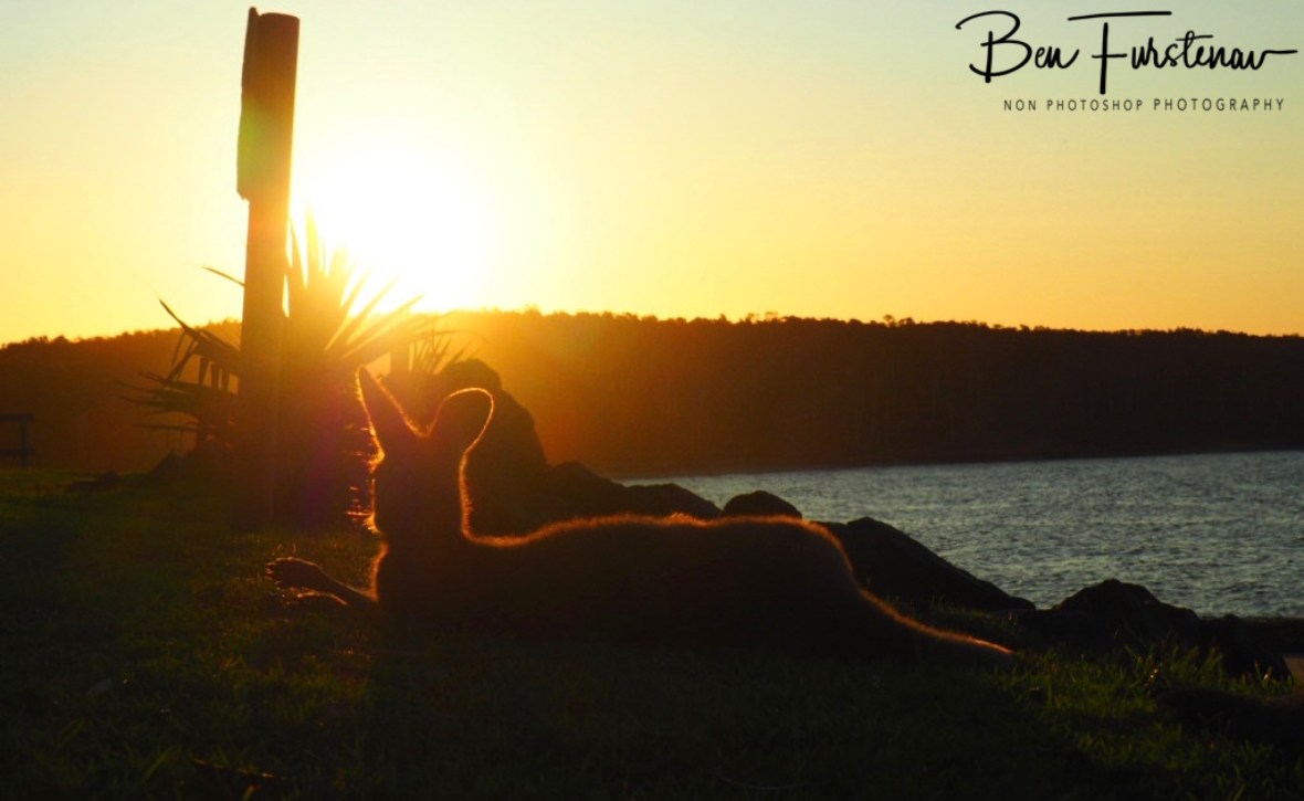 Lazing in the sun @ Woody Head, Northern New South Wales, Australia