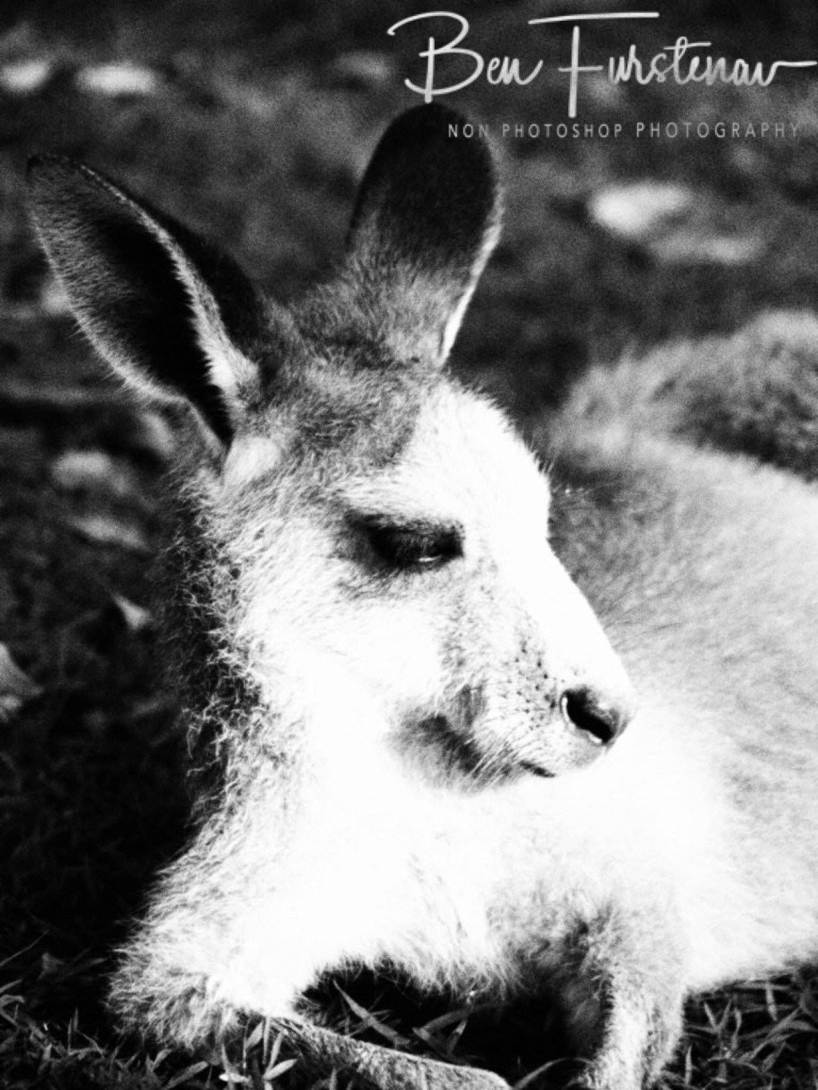 Different complexion @ Woody Head, Northern New South Wales, Australia