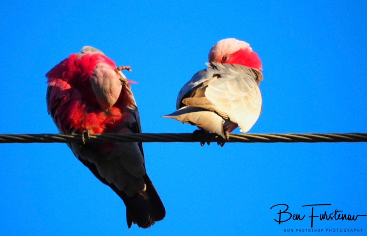 Shining brightly @ Woolgoolga, Northern New South Wales, Australia