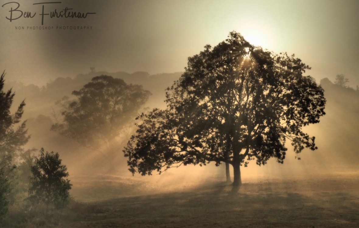 Glorious @ Lismore area, Northern New South Wales, Australia