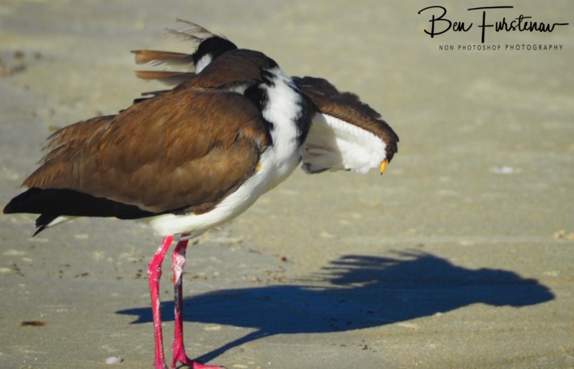 Shadow play @ Woody Head, Northern New South Wales, Australia
