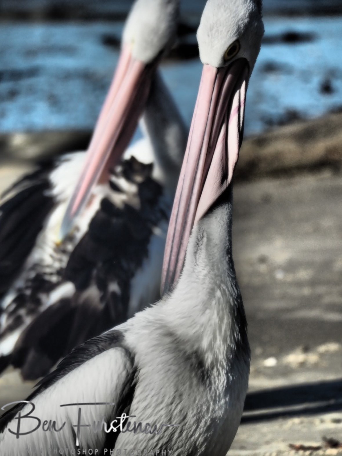 Comparability @ Woody Head, Northern New South Wales, Australia