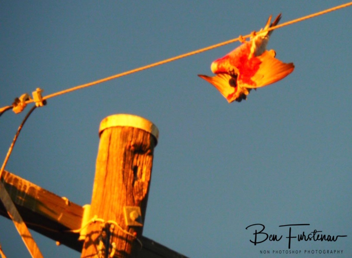 Slip up @ Evans Head, Northern New South Wales, Australia