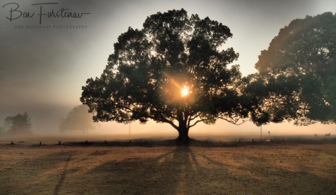 Dramatic shadows @ Lismore area, Northern New South Wales, Australia