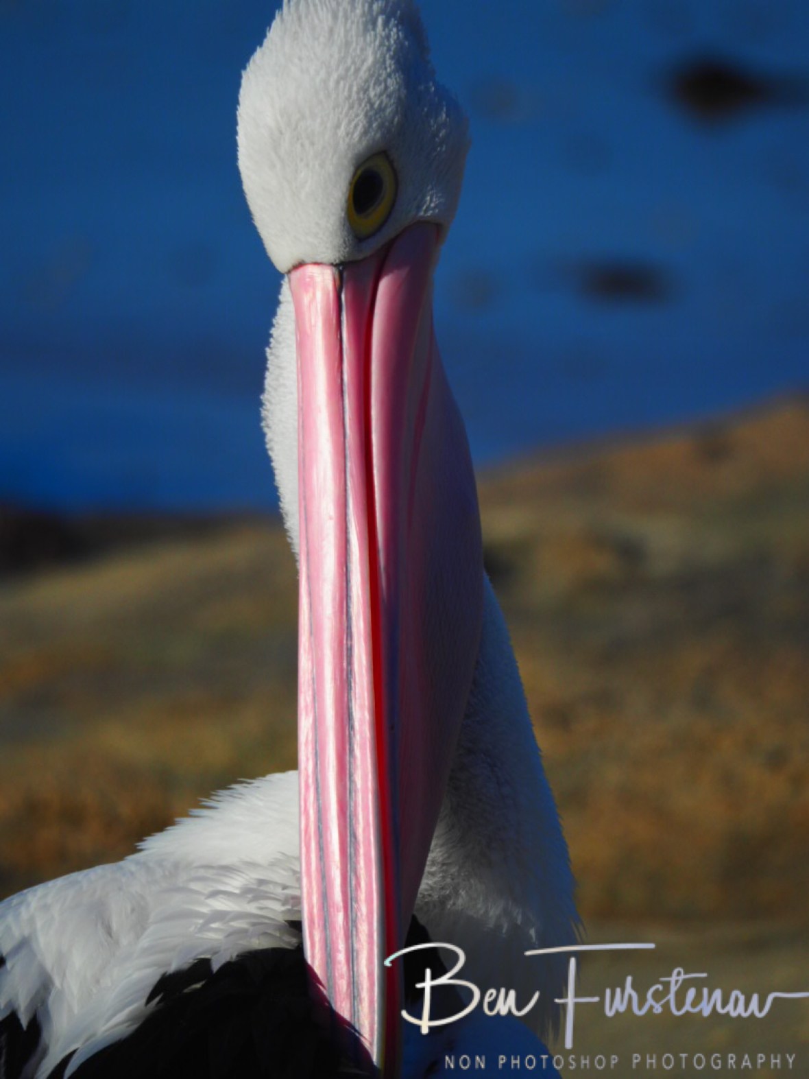 We are ready! @ Woody Head, Northern New South Wales, Australia