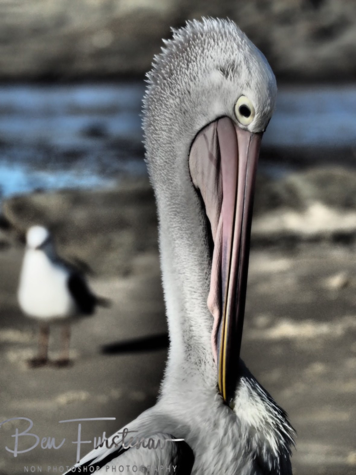Long stretch @ Woody Head, Northern New South Wales, Australia