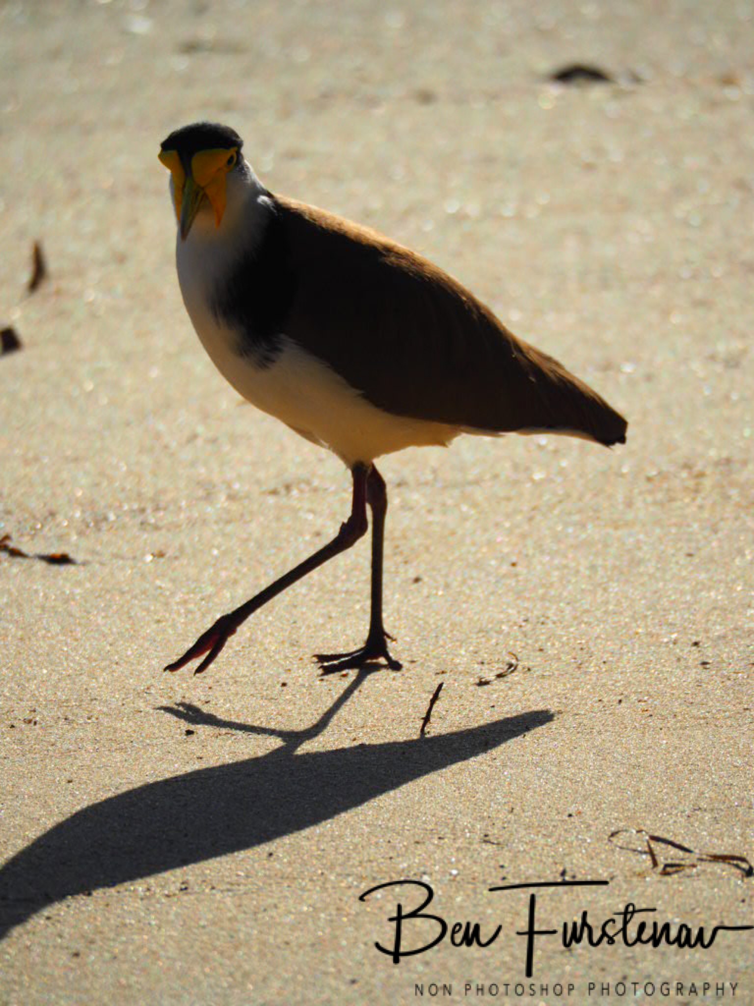 Strategy @ Deception Bay, South-East Queensland, Australia