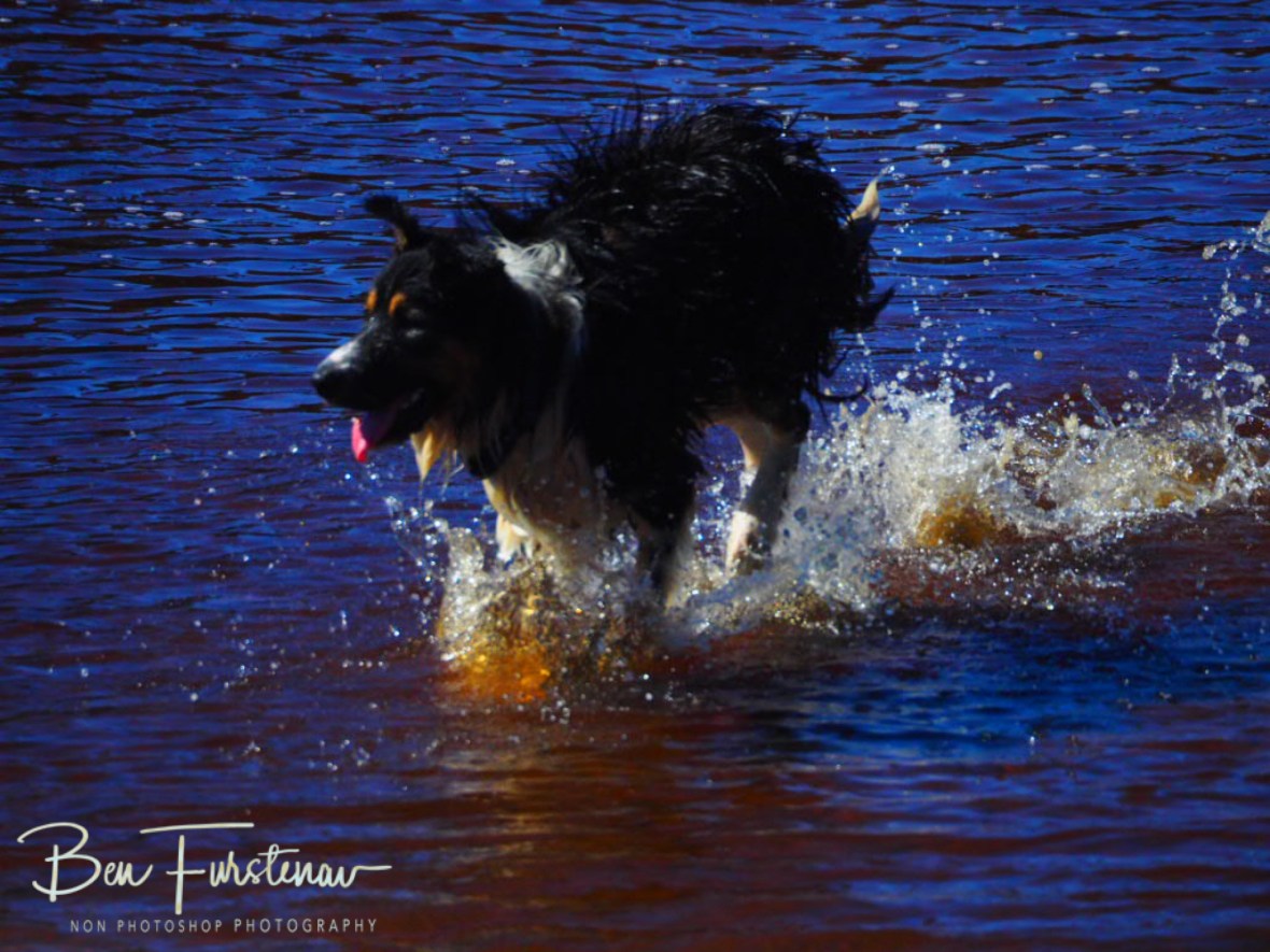 Lucky escape @ Brunswick Heads, Northern New South Wales, Australia