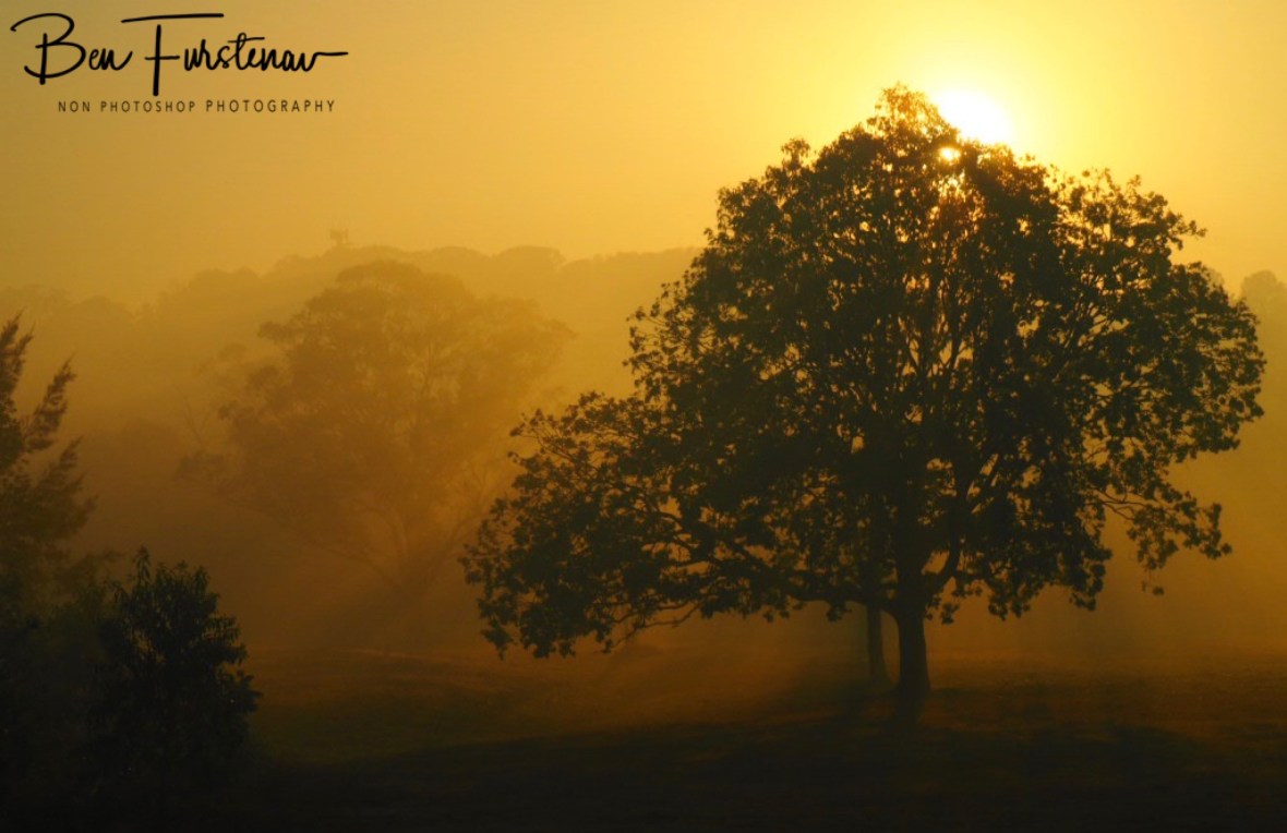 Sunrise finish @ Lismore area, Northern New South Wales, Australia