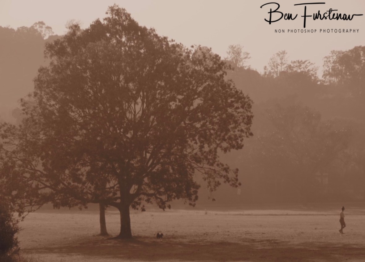 Not so spooky after all @ Lismore area, Northern New South Wales, Australia