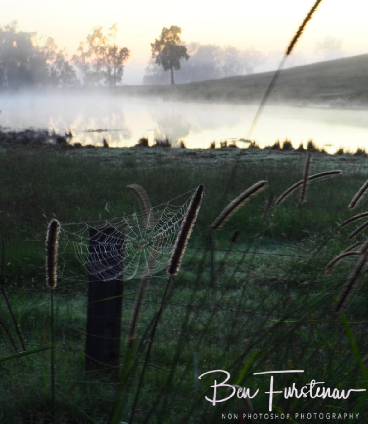Magical sunrise @ Ulmarra, Northern New South Wales, Australia