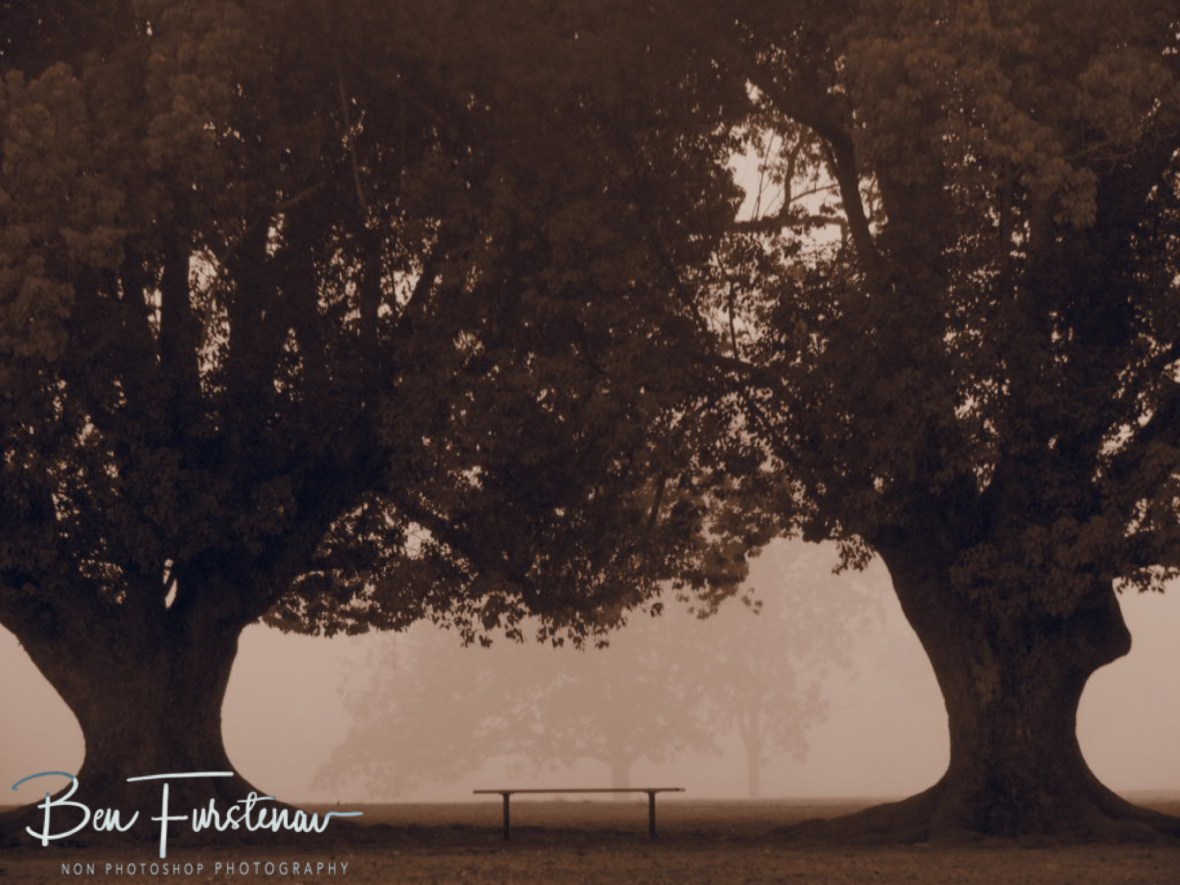 Misty feeling @ Lismore area, Northern New South Wales, Australia
