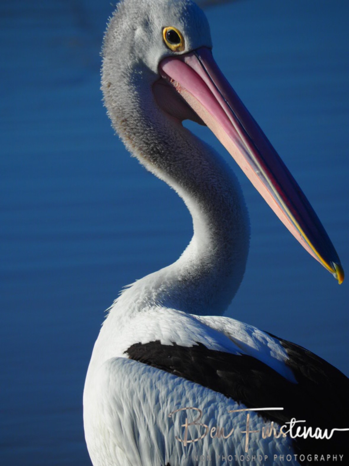 Experienced competitors @ Woody Head, Northern New South Wales, Australia