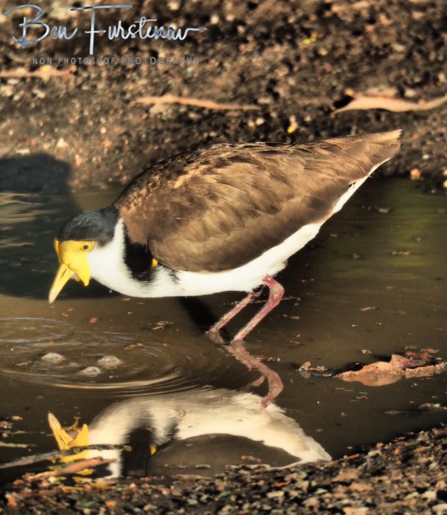 Relaxed @ Deception Bay, South-East Queensland, Australia