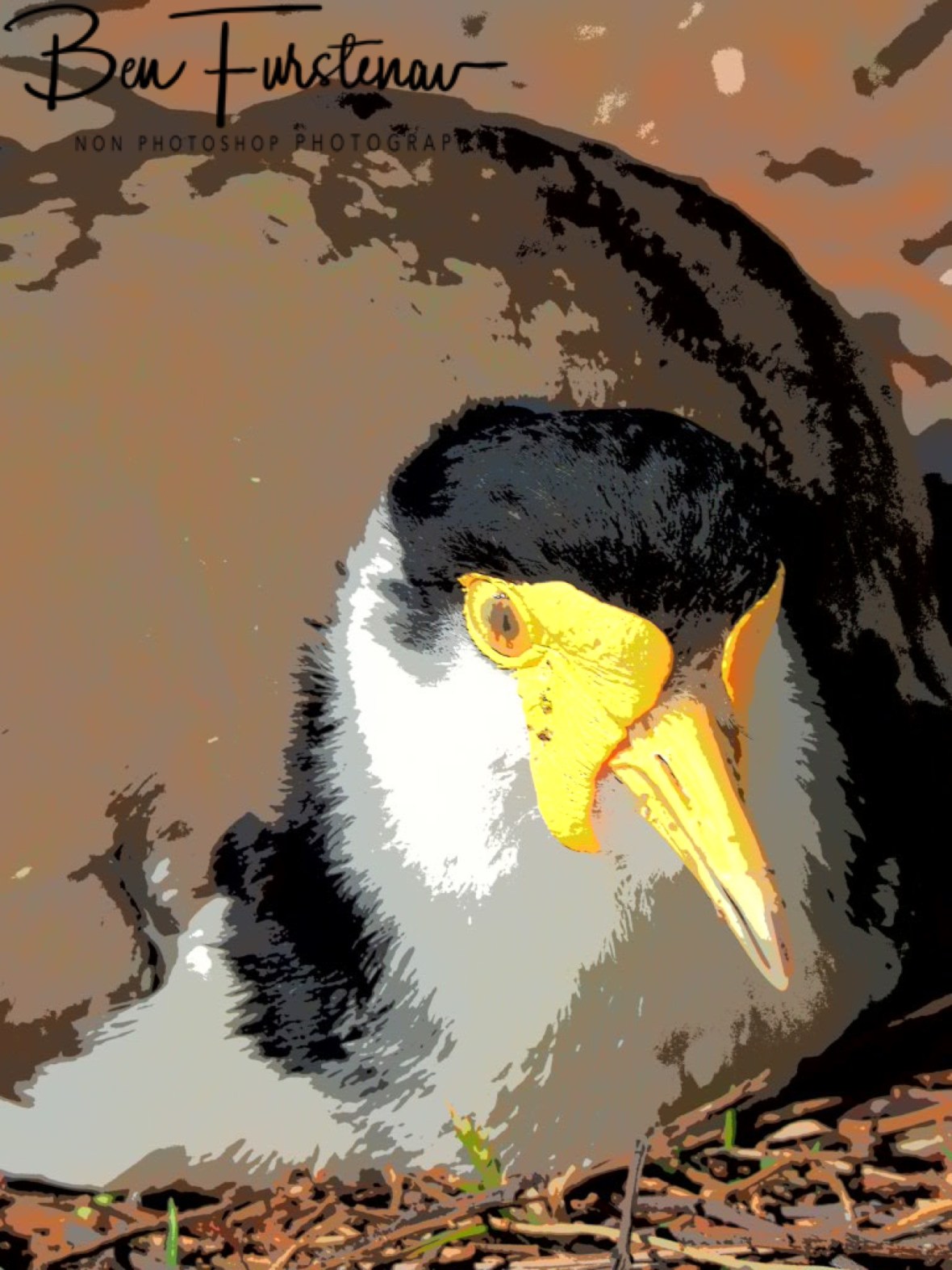 Rebel without a cause @ Woody Head, Northern New South Wales, Australia