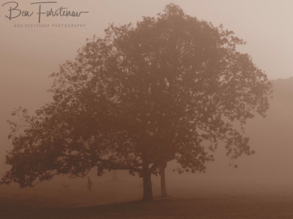 Ghostly @ Lismore area, Northern New South Wales, Australia