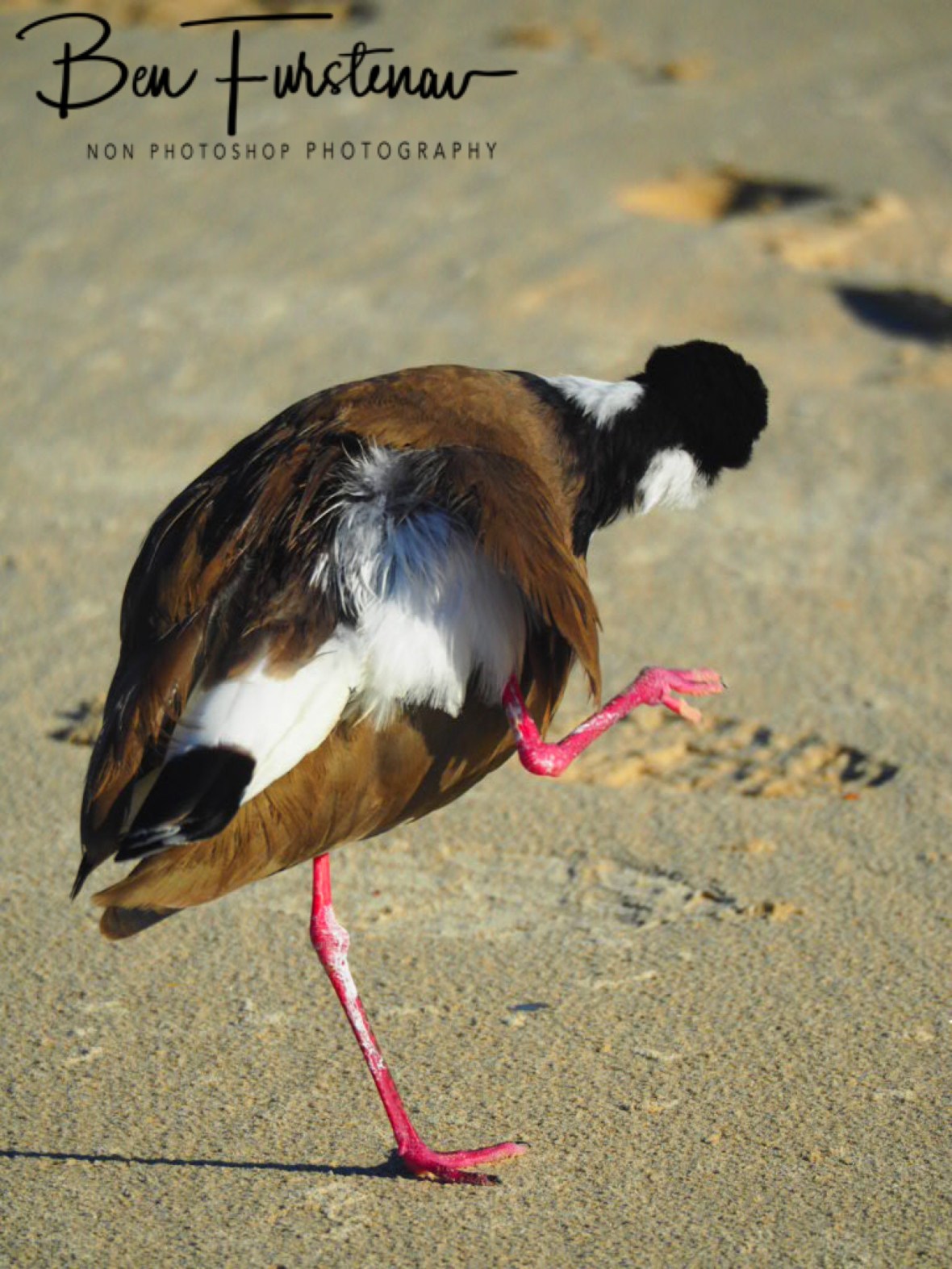 Stretching @ Woody Head, Northern New South Wales, Australia