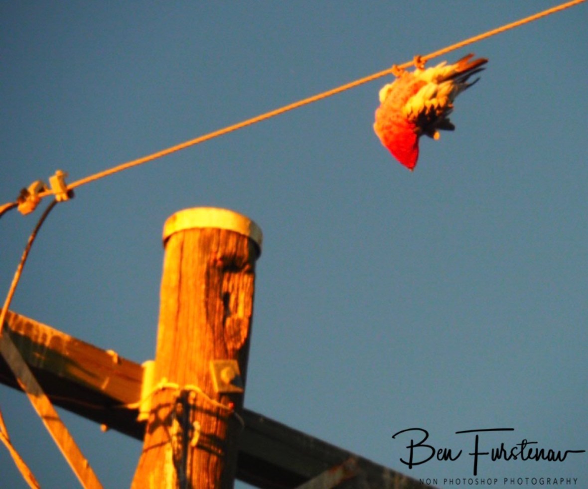 Hanging on @ Evans Head, Northern New South Wales, Australia