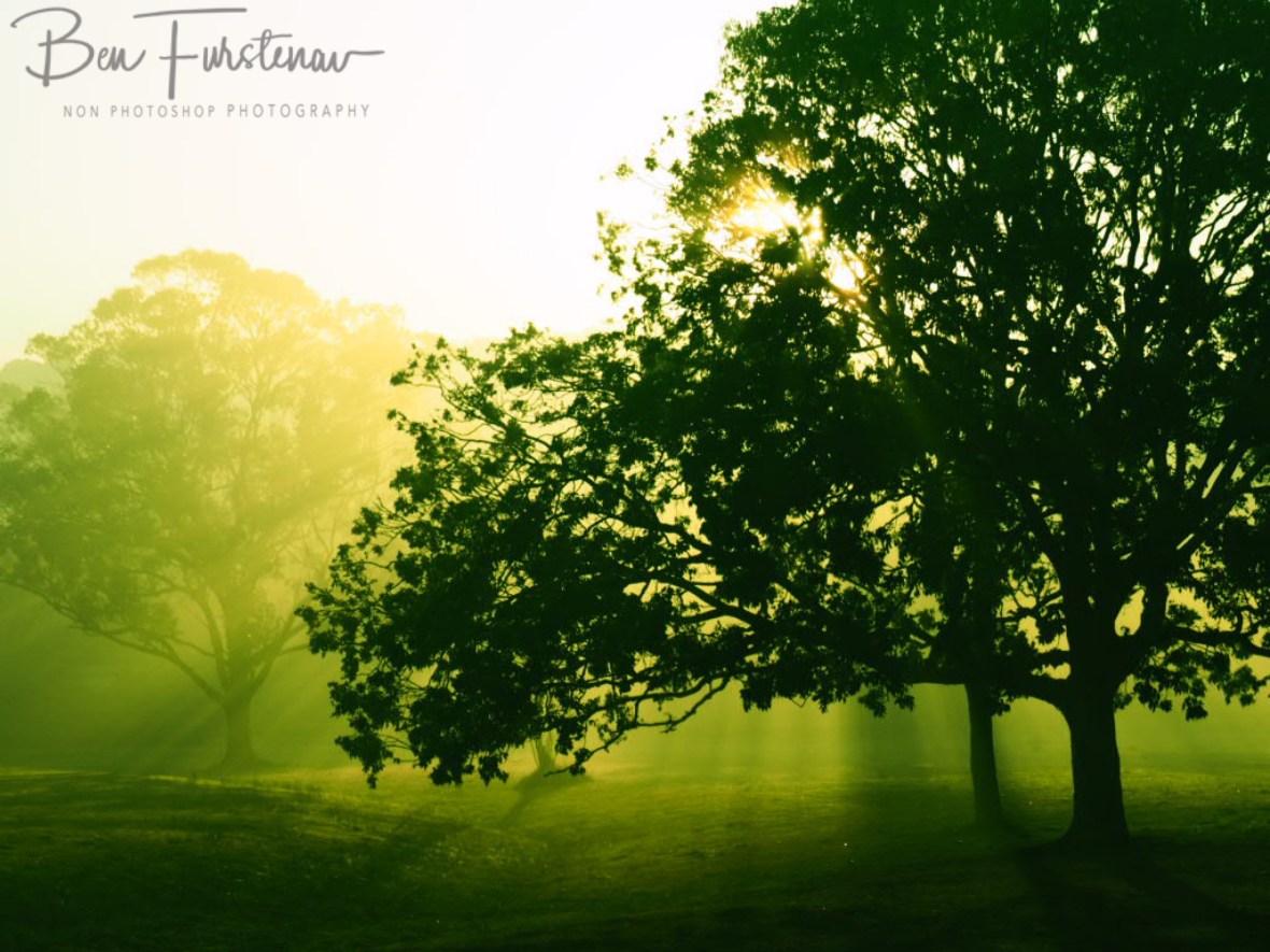 Various camera settings @ Lismore area, Northern New South Wales, Australia