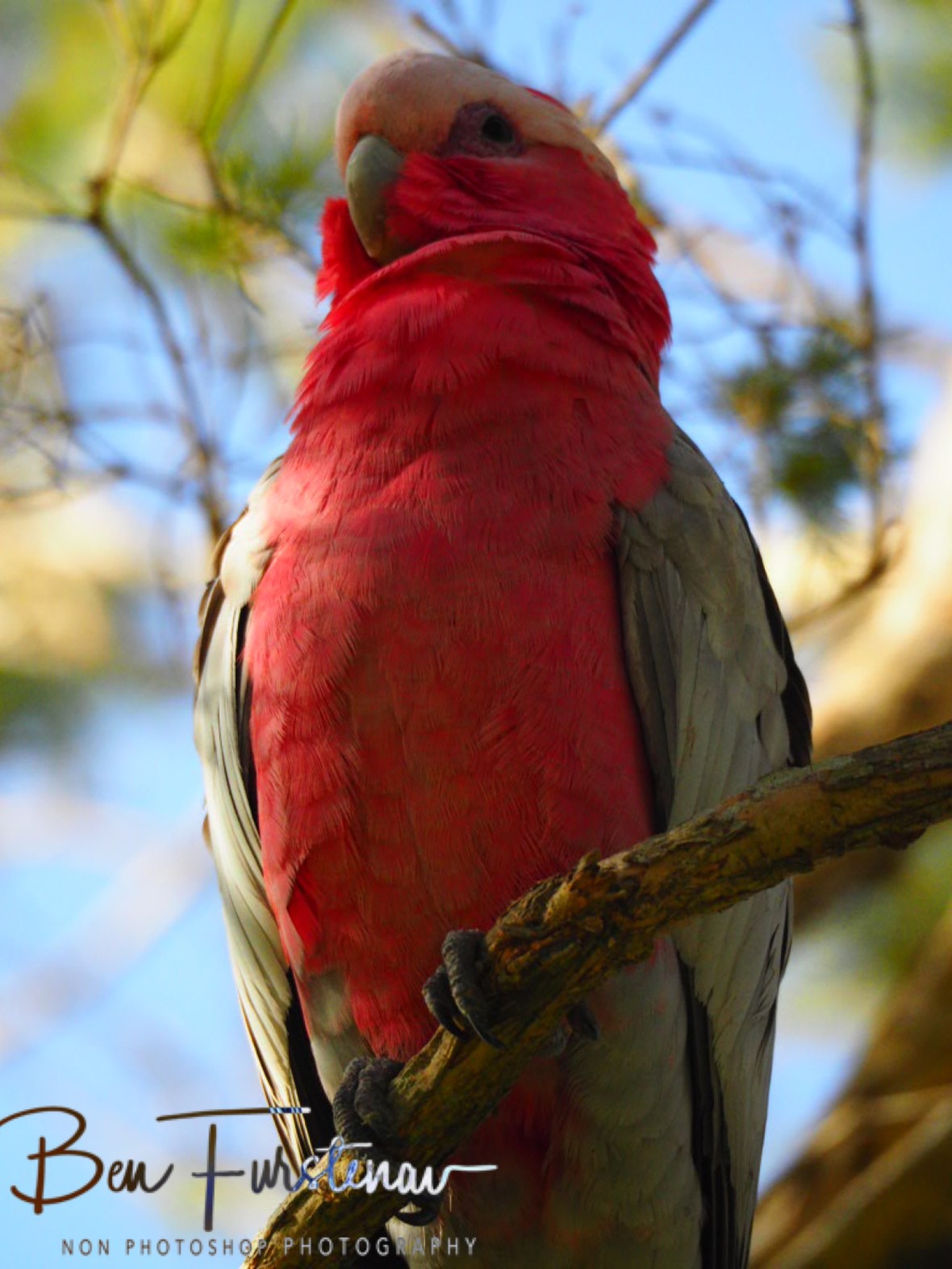 Sunny day! @ Golden Beach, South-east Queensland, Australia