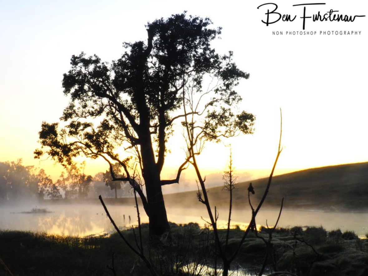 Steaming waters @ Ulmarra, Northern New South Wales, Australia