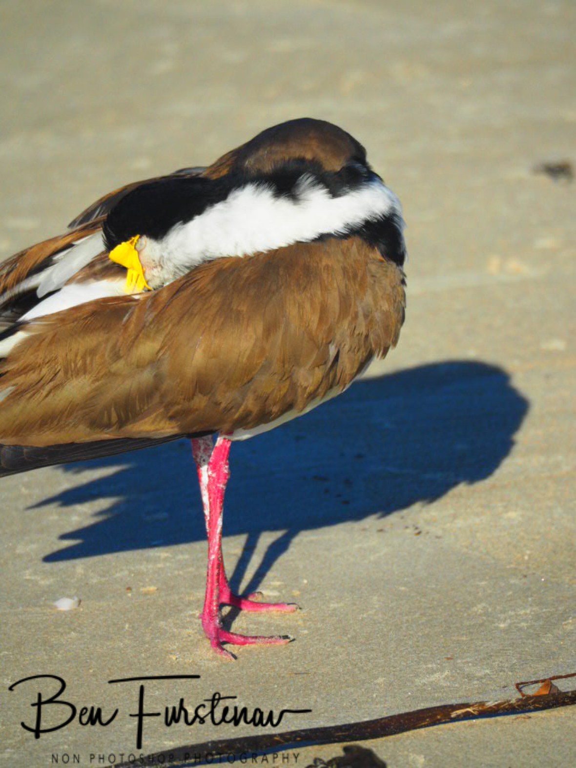 To my left @ Woody Head, Northern New South Wales, Australia