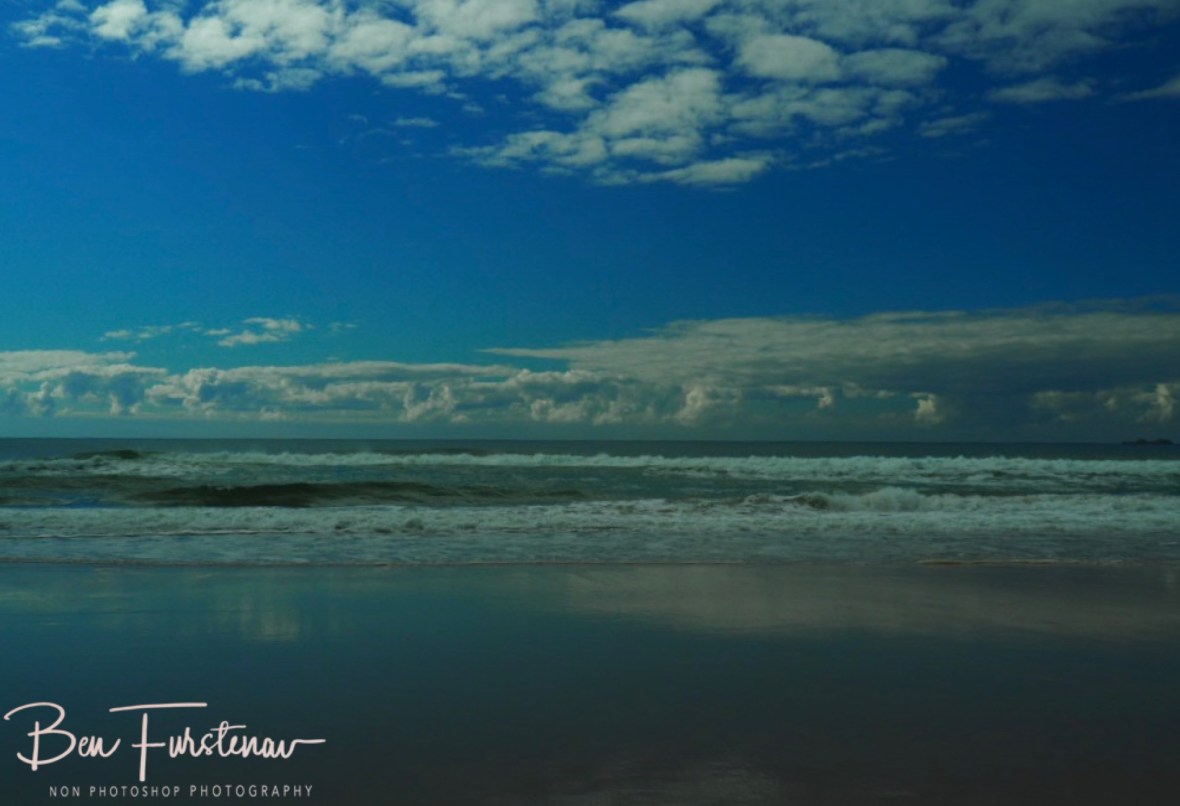 Beach cycle with dolphins and whales @ Brunswick Heads, Northern New South Wales, Australia