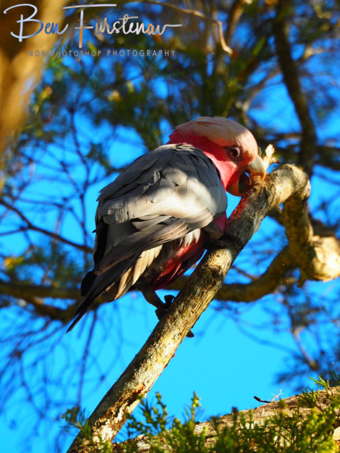 Last minute trail check @ Golden Beach, South-east Queensland, Australia
