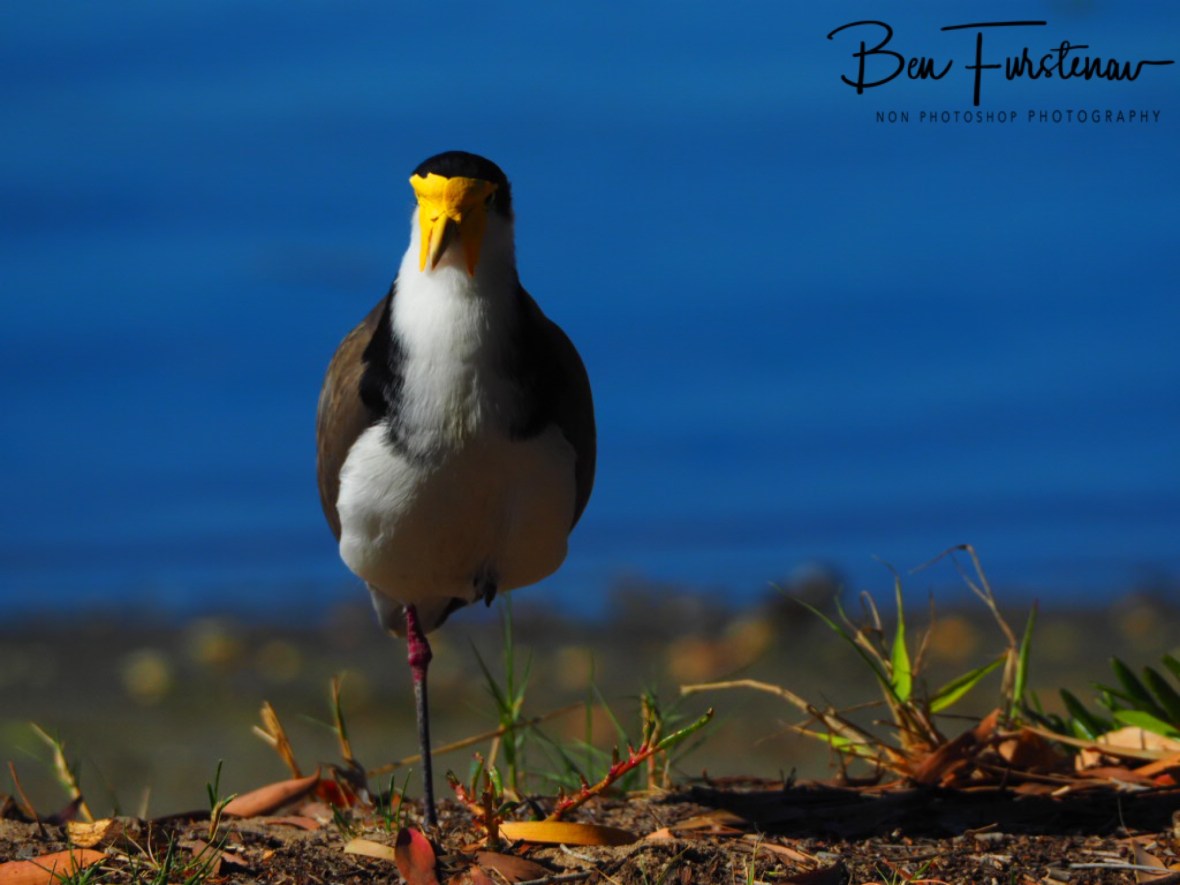 Misunder @ Deception Bay, Queensland, Australia