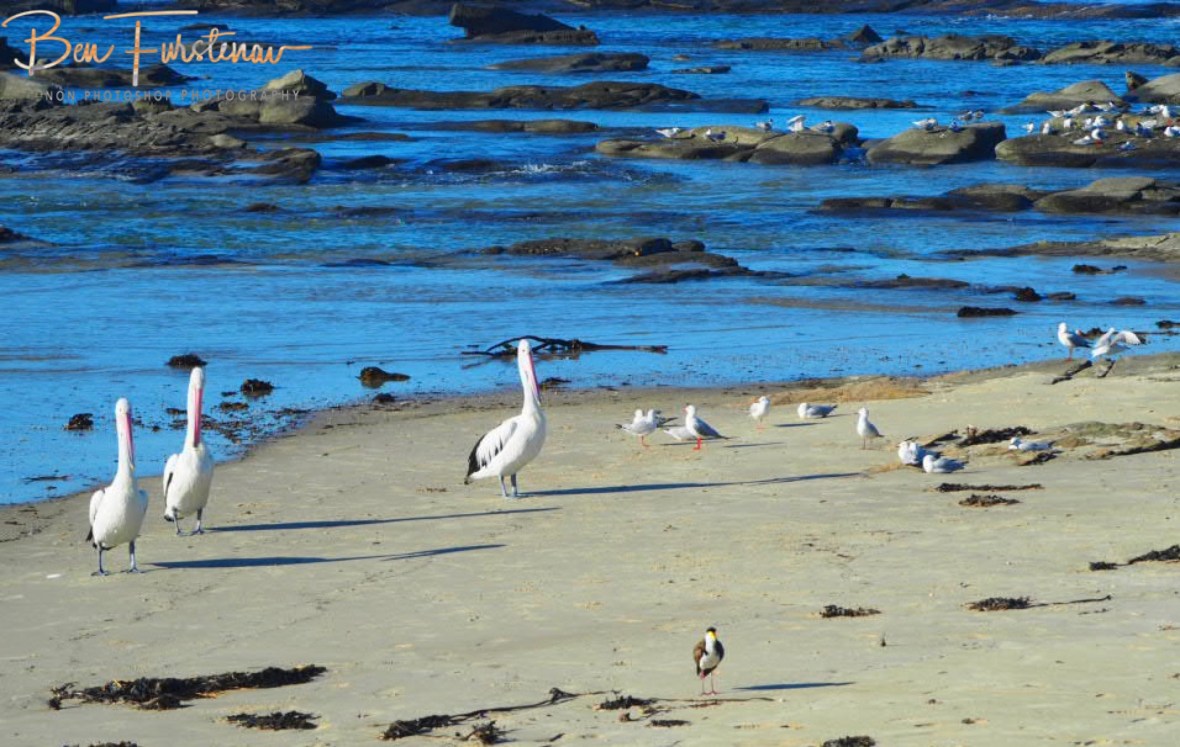 The stage is set @ Woody Head, Northern New South Wales, Australia