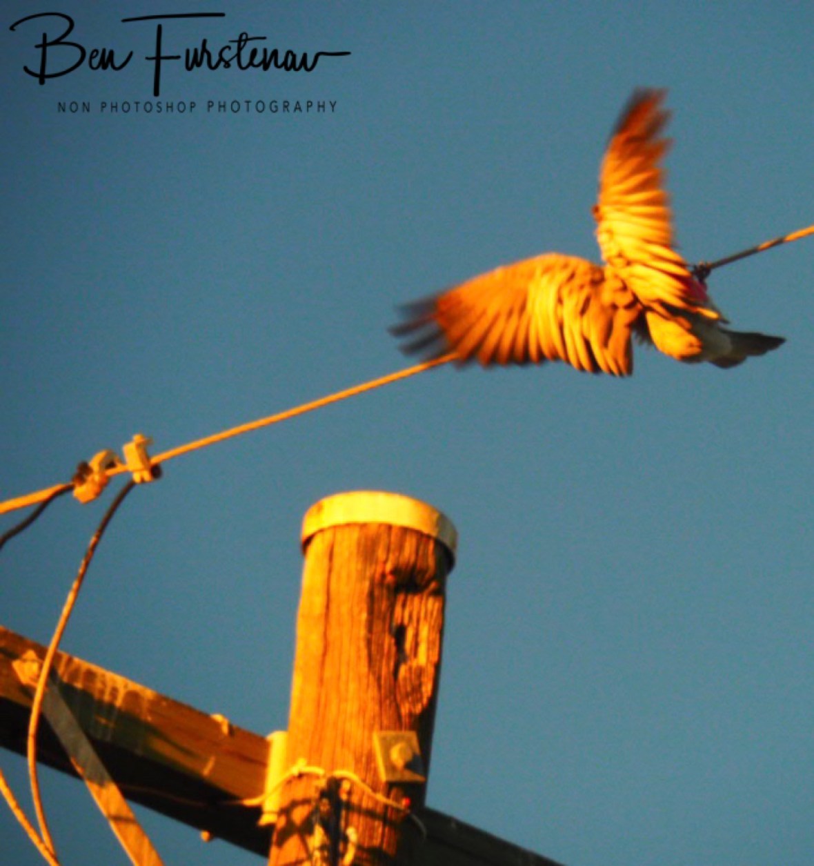 Evans Head, Northern New South Wales, Australia