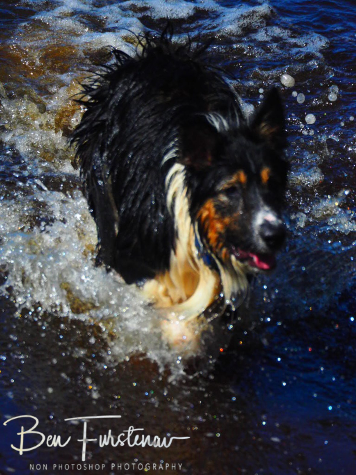 Change of tactics @ Brunswick Heads, Northern New South Wales, Australia