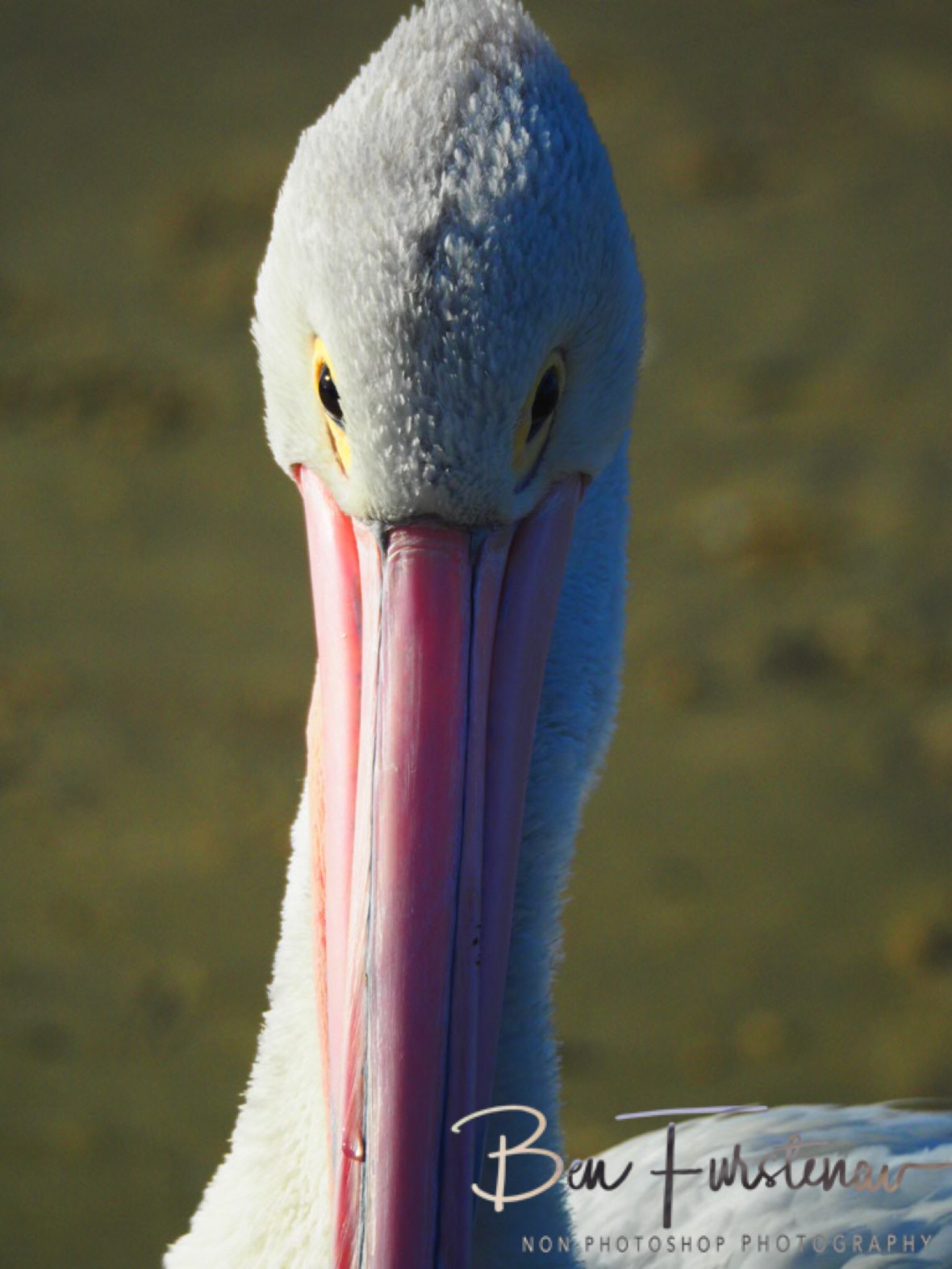 BAAF580B-B7E2-449F-AD84-FDB11571B1A5