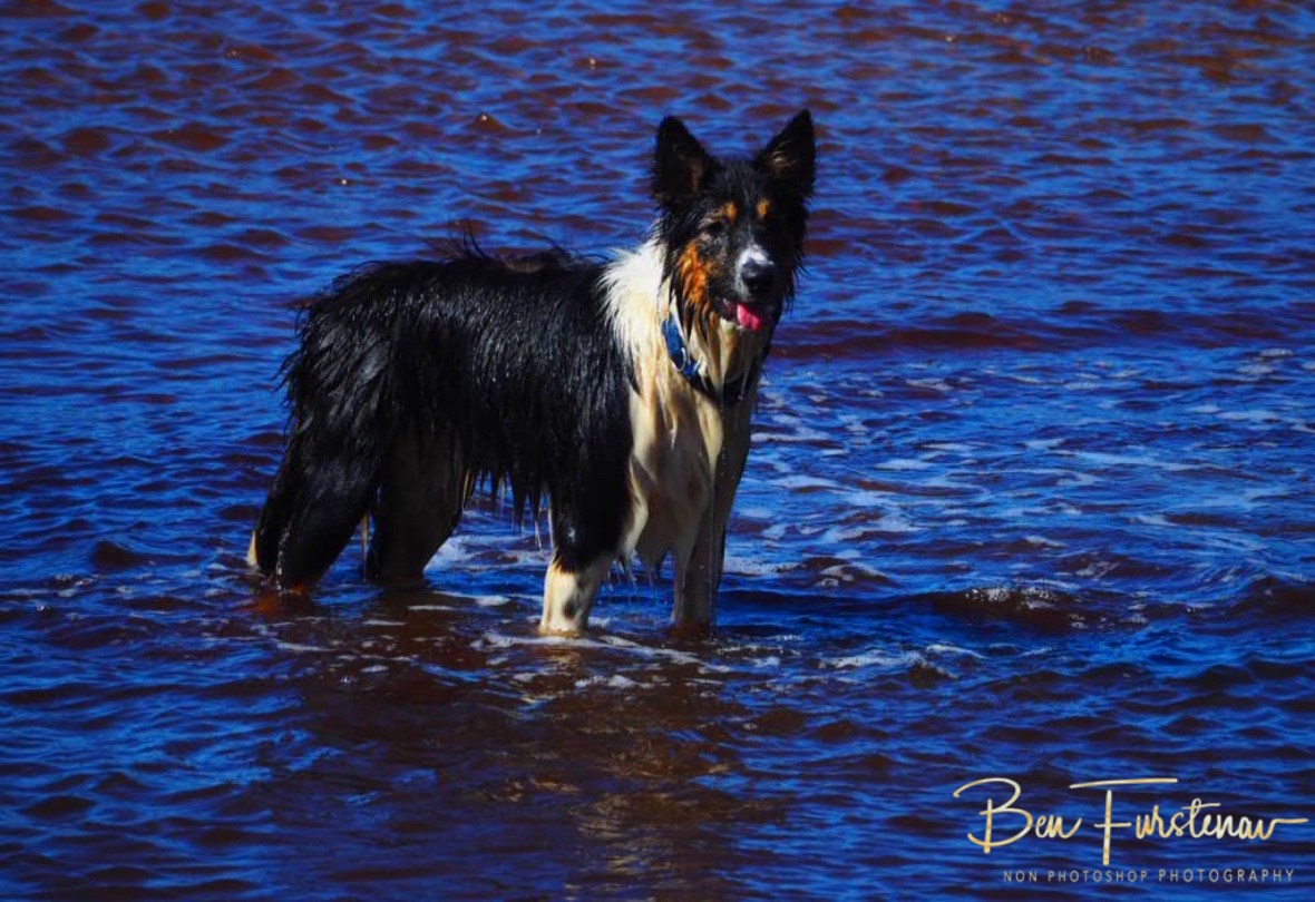 Drenched and confused @ Brunswick Heads, Northern New South Wales, Australia
