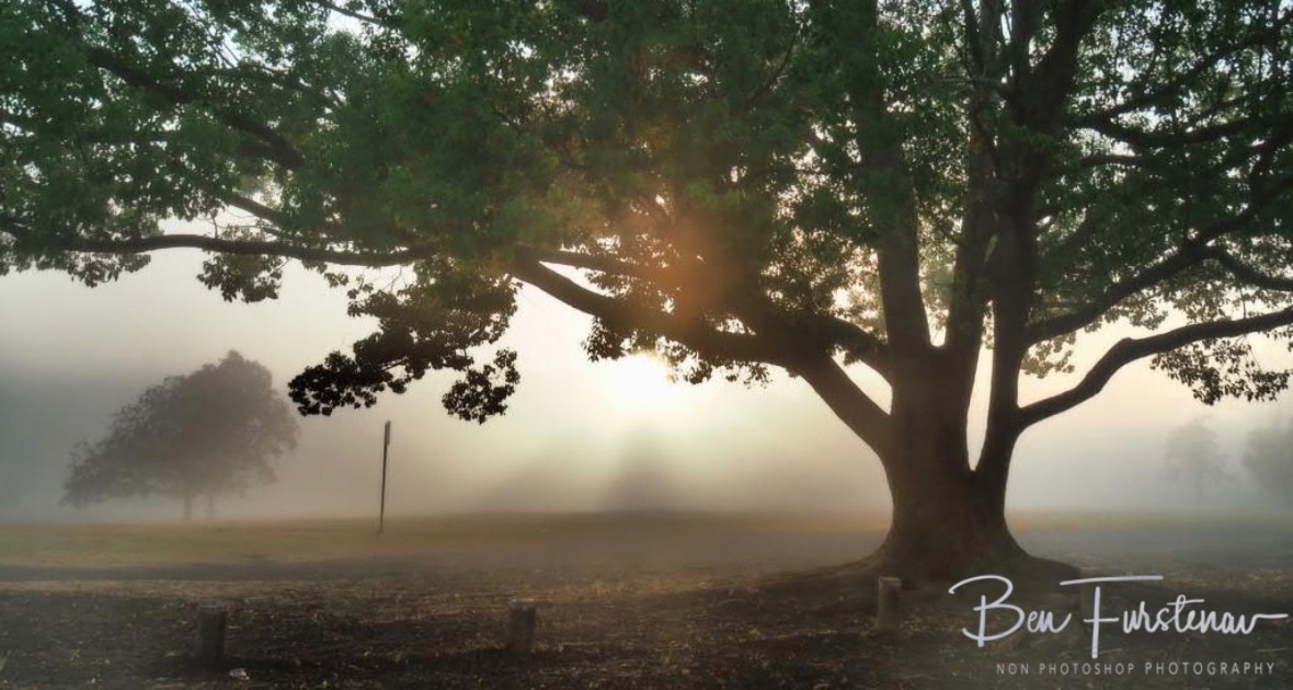 Captivating @ Lismore area, Northern New South Wales, Australia