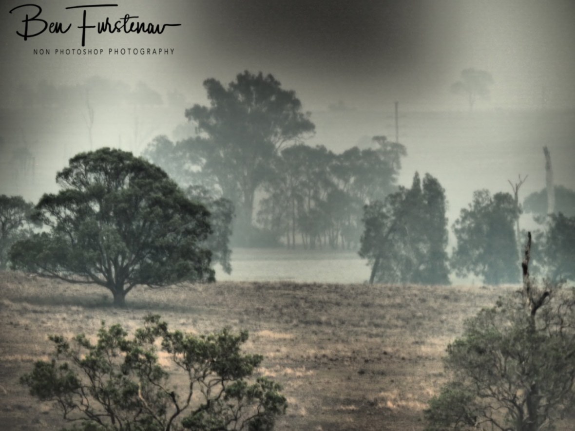 Photographic similarities @ Ulmarra, Northern New South Wales, Australia