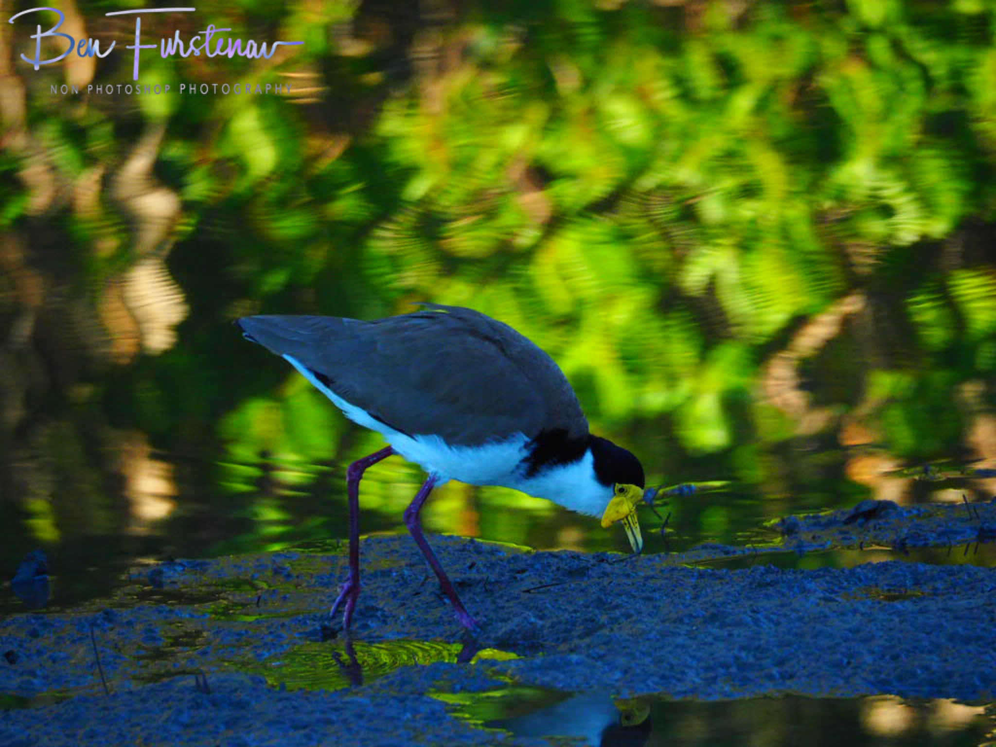 Golden waters @ Golden Bay, South-East Queensland, Australia